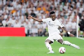 的稳定都将 的稳定都将